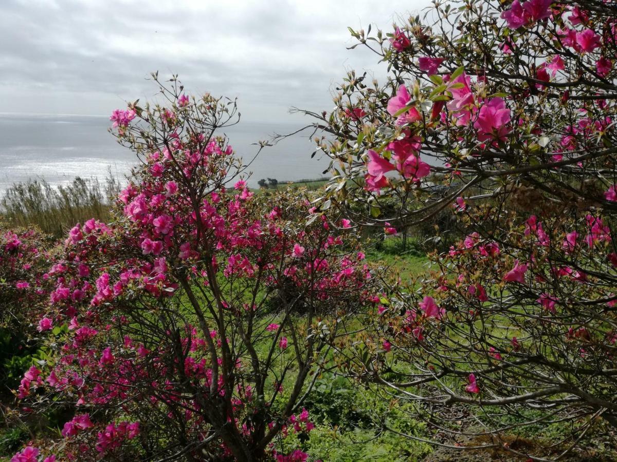 Vila Quinta Do Sol Poente Feteiras Exteriér fotografie